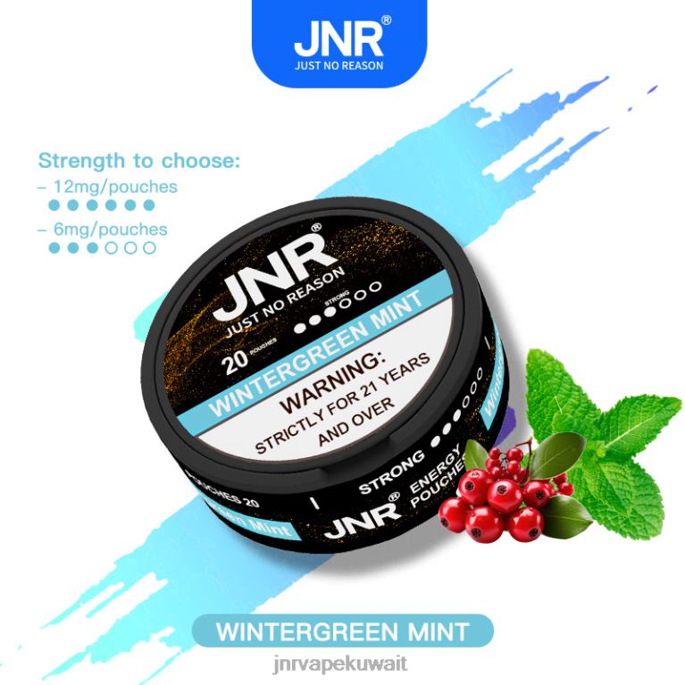 أكياس الطاقة Jnr - JNR Vape Nicotine Content 6V8DF106 النعناع الشتوي