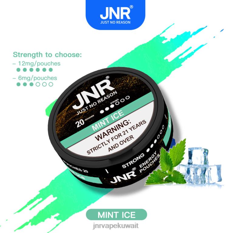 أكياس الطاقة Jnr - JNR Vapes Website 6V8DF103 جليد النعناع