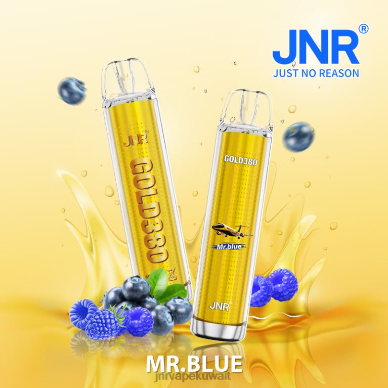 جي إن آر جولد 380 - JNR Vape Review 6V8DF40 السيد الأزرق