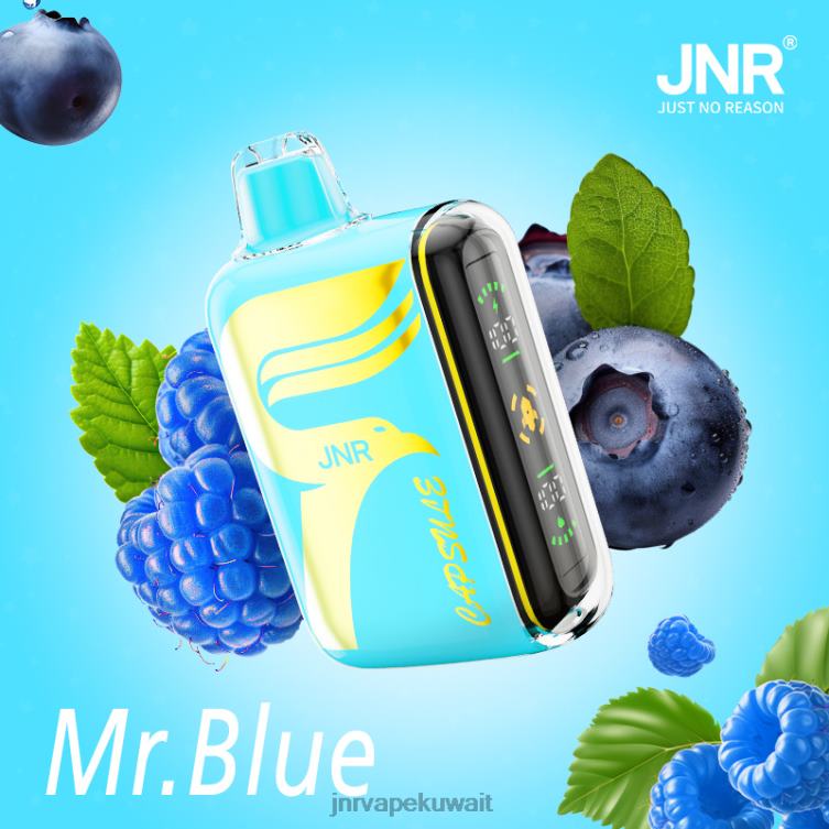JNR كبسولة | JNR Vape Pods السيد الأزرق R668464