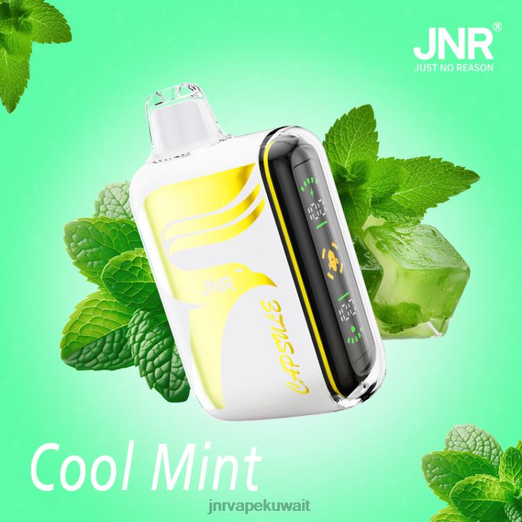JNR كبسولة | JNR Vapes Website نعناع منعش R668462