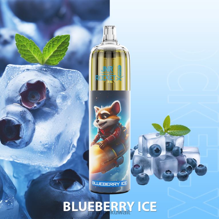 صاروخ جي إن آر -إكس - JNR Vape 6V8DF107 جليد التوت