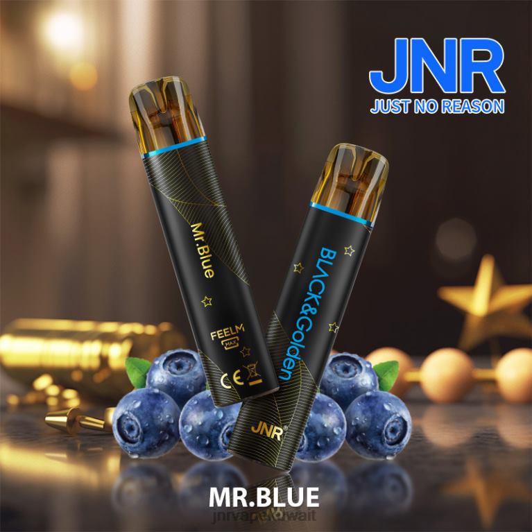 جي إن آر بلاك آند جلودن - JNR Vape Nicotine 6V8DF278 السيد الأزرق