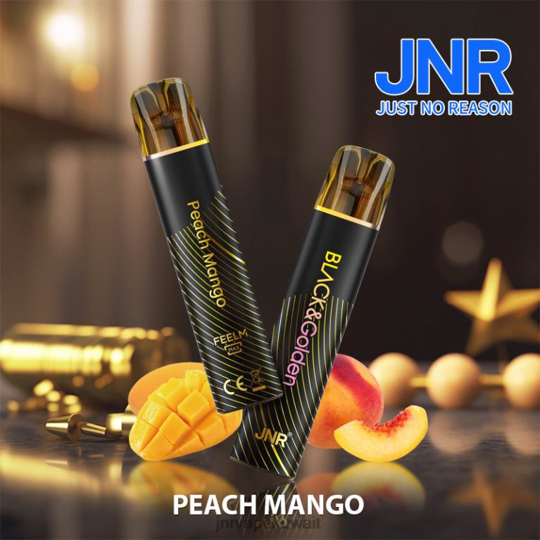 جي إن آر بلاك آند جلودن - JNR Vape Price 6V8DF279 مانجو خوخ