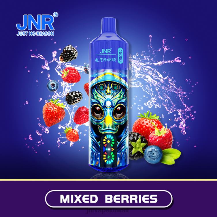 JNR ALIEN الأعلى - JNR Vape Price 6080P29 التوت المختلطة