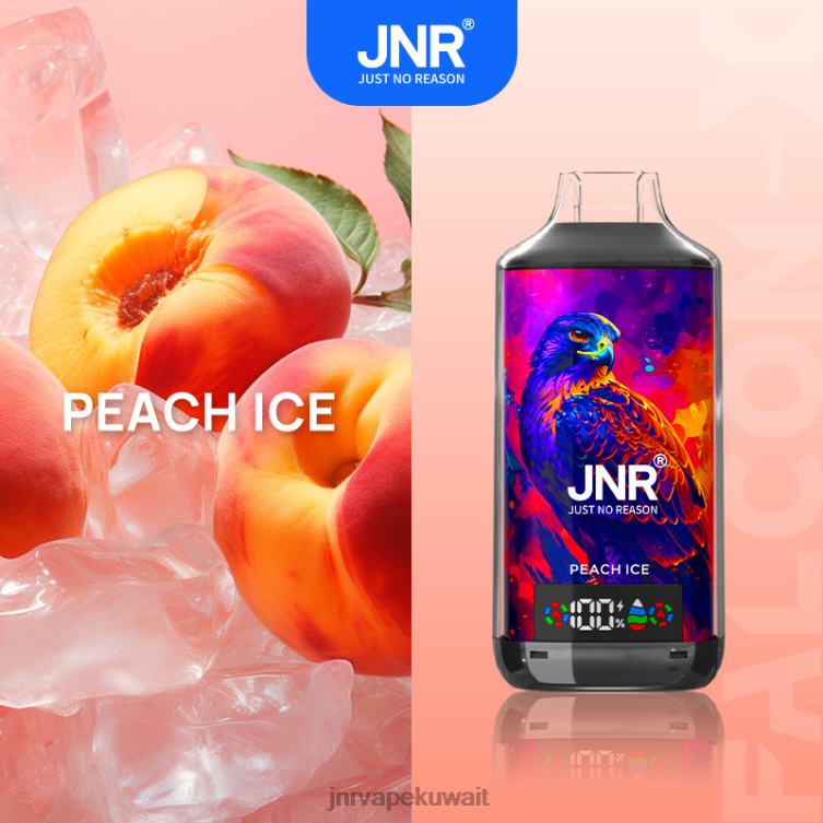 JNR FALCON س - JNR Vapes Website 6080P13 جليد الخوخ