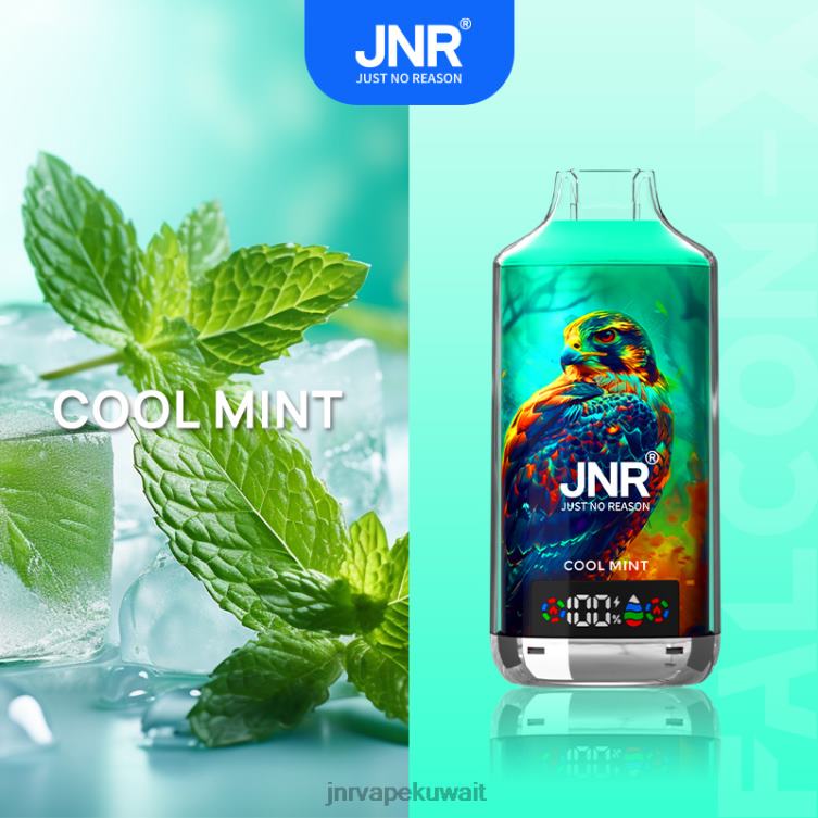 JNR FALCON س - JNR Vapes Website 6080P3 نعناع منعش