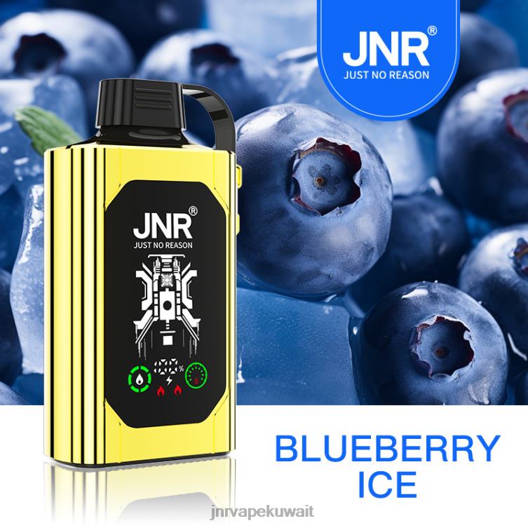 JNR SHISHA صندوق | JNR Vape Nicotine Content جليد التوت R668475