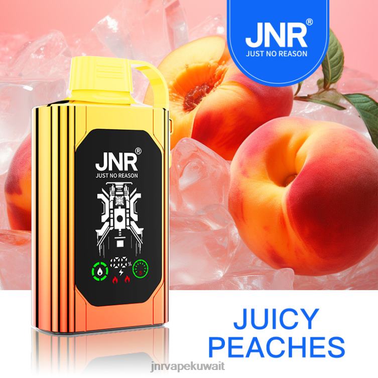 JNR SHISHA صندوق | JNR Vape Pods الخوخ العصير R668484