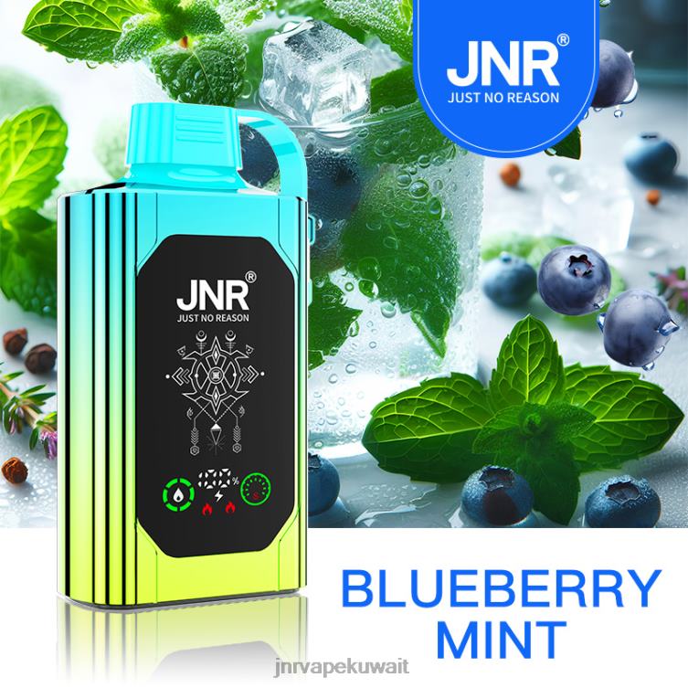 JNR SHISHA صندوق | JNR Vape Price النعناع التوت R668488
