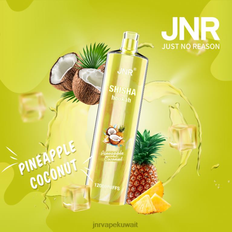 jnr الشيشة - JNR Vape 6V8DF167 جوز الهند الأناناس