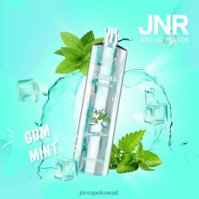 jnr الشيشة - JNR Vape Flavours 6V8DF164 العلكة والنعناع