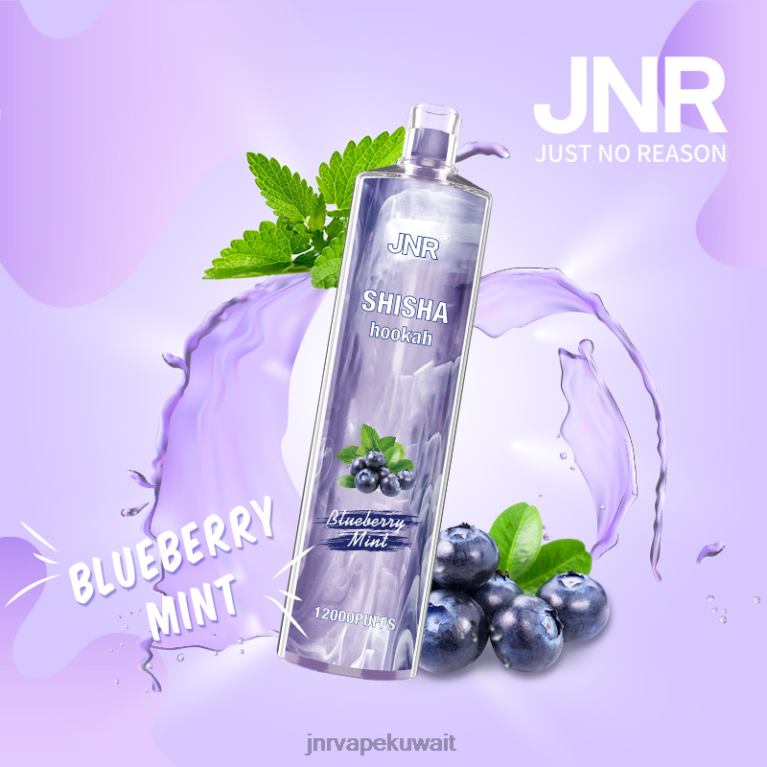 jnr الشيشة - JNR Vape Kuwait 6V8DF172 النعناع التوت