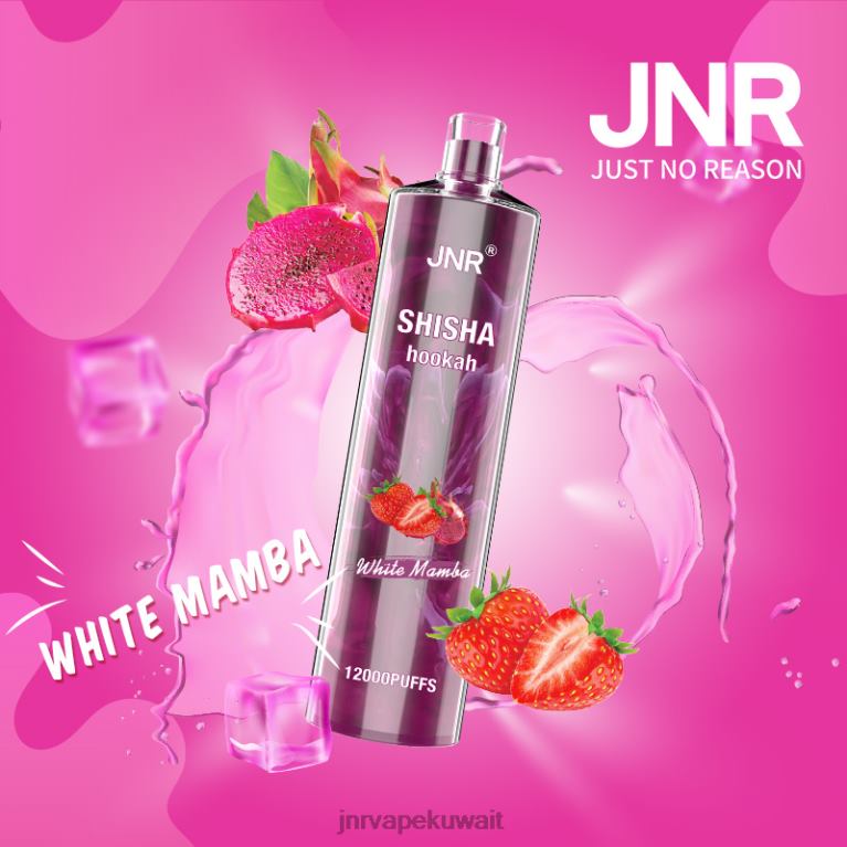 jnr الشيشة - JNR Vape Kuwait 6V8DF182 مامبا بيضاء