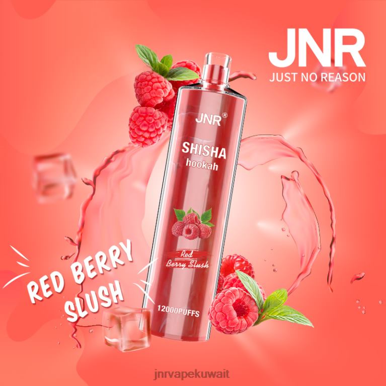 jnr الشيشة - JNR Vape Nicotine 6V8DF168 سلاش التوت الأحمر