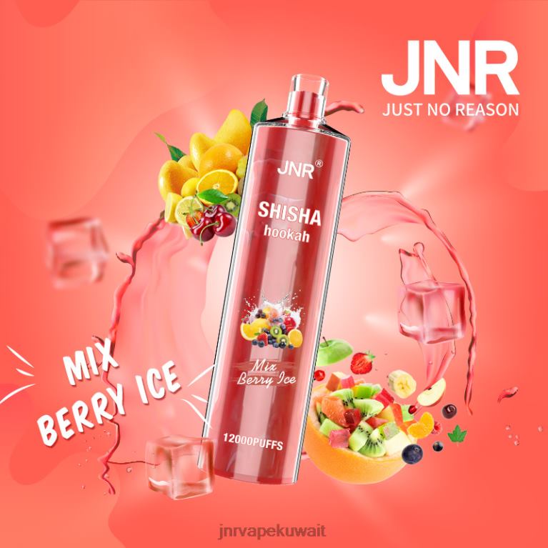 jnr الشيشة - JNR Vape Nicotine Content 6V8DF166 مزيج ثلج التوت