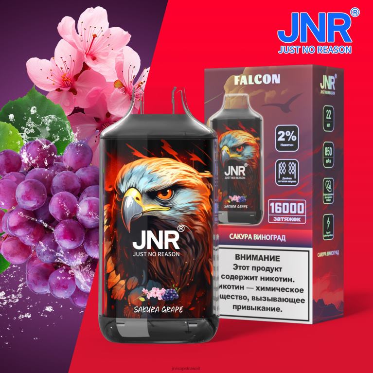 jnr فالكون - JNR Vape Nicotine Content 6V8DF226 عنب ساكورا بدون ثمار