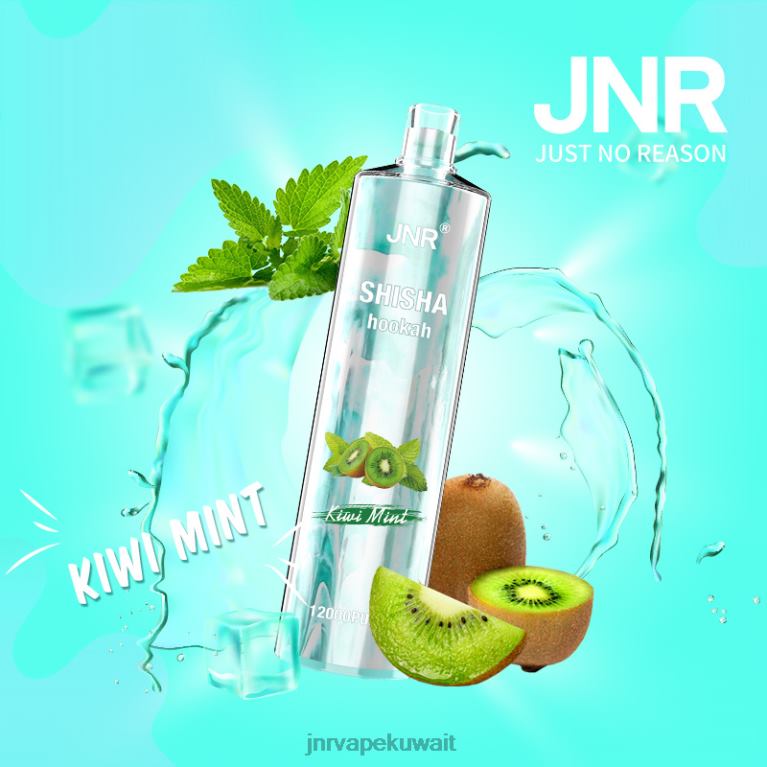 jnr الشيشة - JNR Vape Price 6V8DF169 نعناع الكيوي