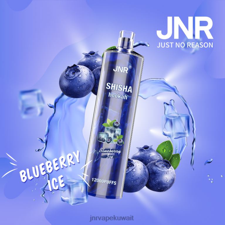 jnr الشيشة - JNR Vape Shop 6V8DF161 جليد التوت