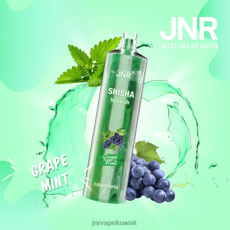 jnr الشيشة - JNR Vape Shop 6V8DF171 نعناع العنب