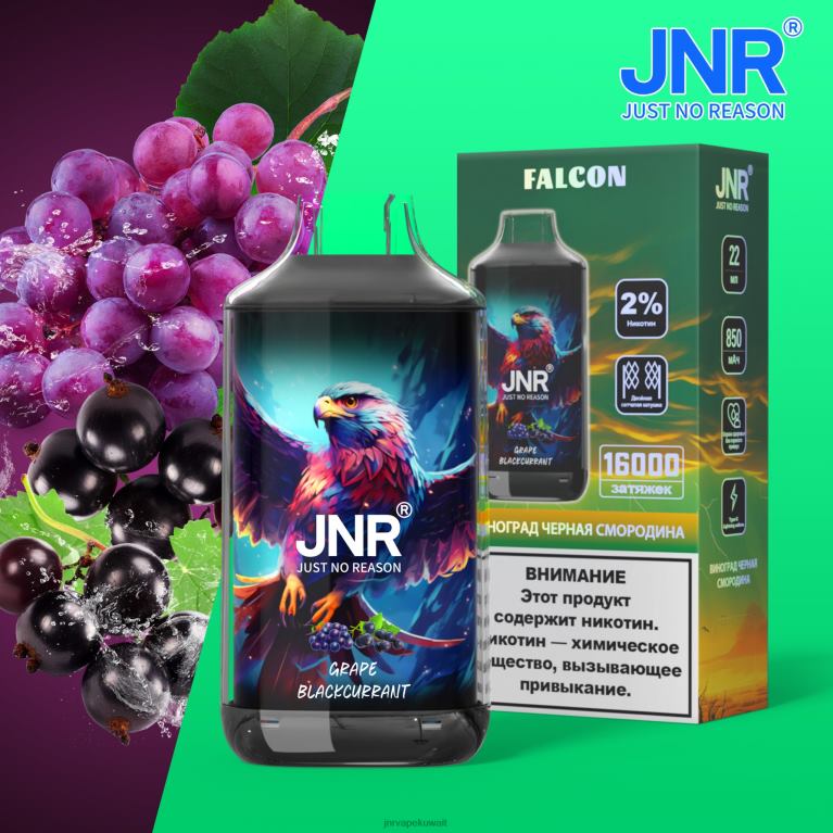 jnr فالكون - JNR Vape Shop 6V8DF211 العنب الأسود